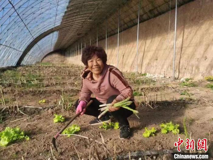 圖為內(nèi)蒙古赤峰市林西縣農(nóng)民在大棚里干活(資料圖)?！￡悤栽?攝