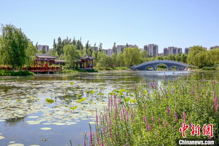 圖為舊宮城市森林公園濕地。　北京市園林綠化局供圖