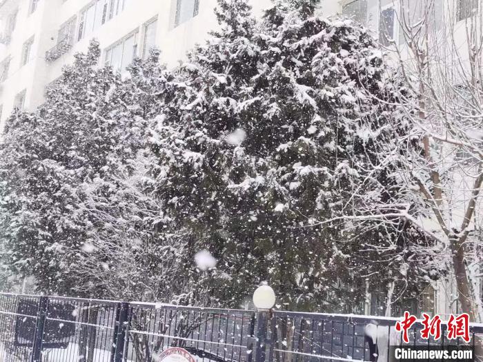 圖為呼和浩特迎降雪?！±類燮?攝