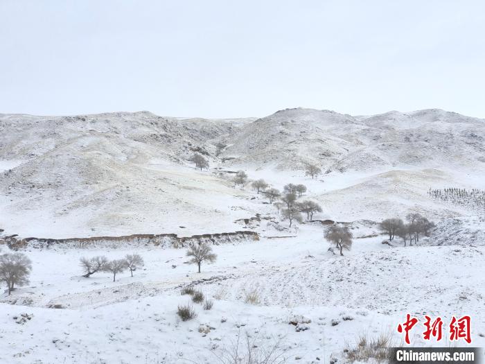 圖為內(nèi)蒙古迎降雪?！?nèi)蒙古自治區(qū)氣息局供圖