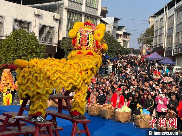 湘粵桂數(shù)萬瑤胞“趕鳥”話豐收?！〗揽h委宣傳部供圖