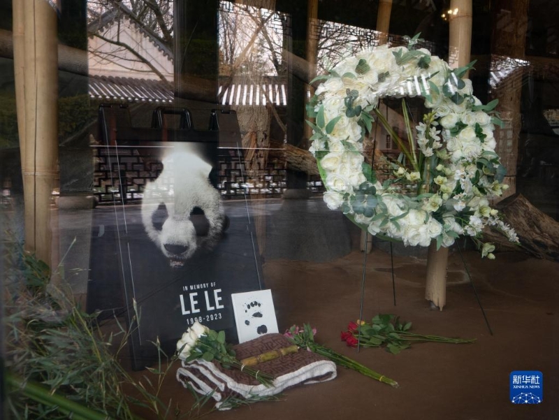 2月4日，美國田納西州孟菲斯動物園擺放了紀念大熊貓“樂樂”的照片和鮮花。（圖源：新華社）