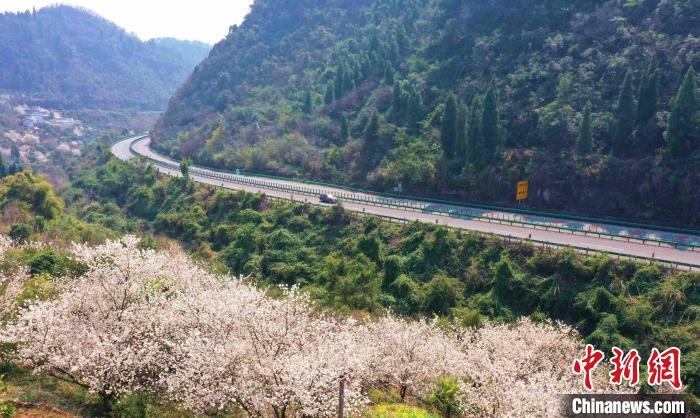 三峽專用公路穿越崇山峻嶺?！∶璐?攝