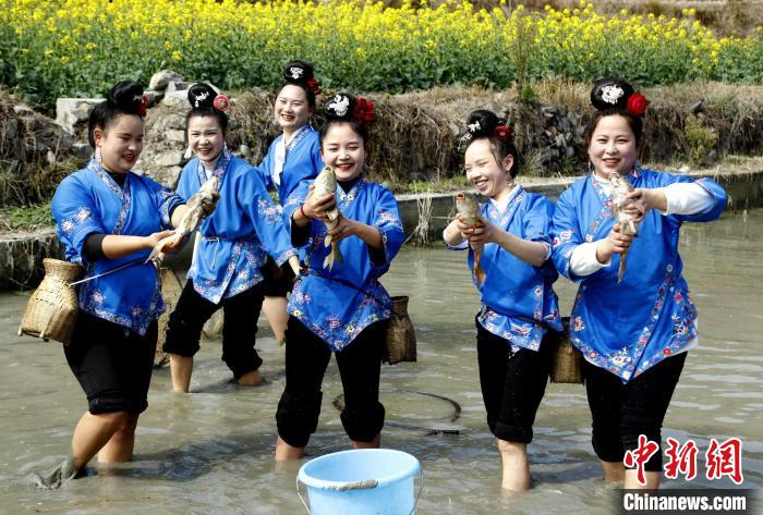 施秉縣馬號(hào)鎮(zhèn)六合苗寨的苗族同胞展示捉到的魚(yú)。　奉力 攝