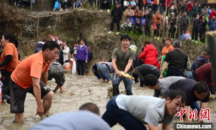 3月6日，廣西桂林市龍勝各族自治縣三門鎮(zhèn)同烈村，瑤族民眾在參加“渾水摸魚”?！∨酥鞠?攝