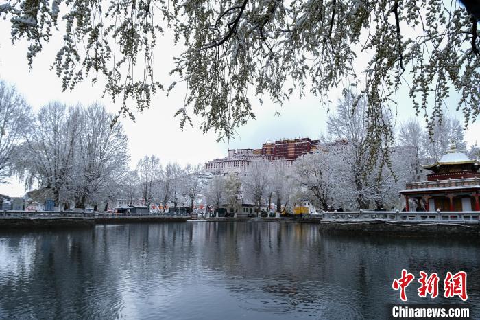 3月30日，春雪與布達拉宮?！〗w波 攝