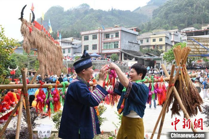 圖為游客體驗(yàn)壯族敬牛節(jié)特色文化項(xiàng)目?！×趾?攝