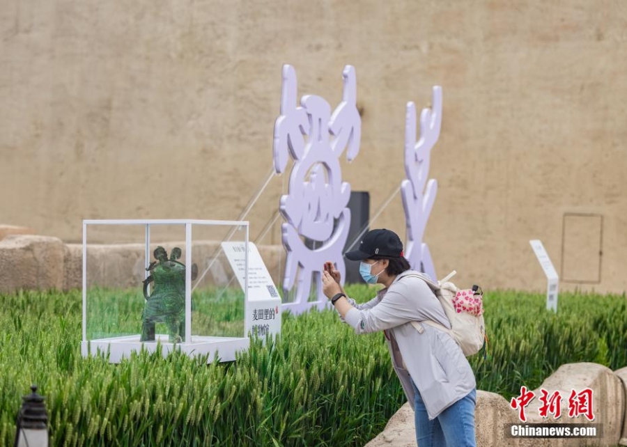 “麥田里的博物館”開展 沿黃9省“寶藏”齊聚河南