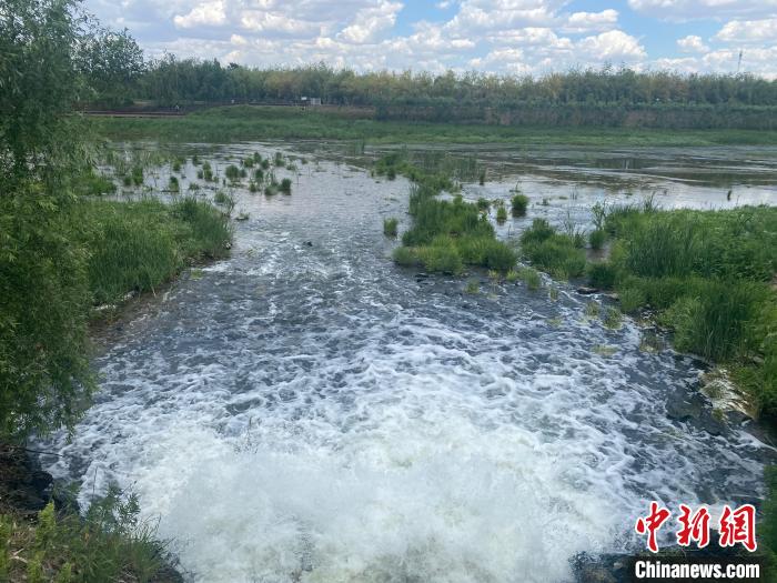 2日，經(jīng)四平市污水處理廠的尾水正在排入西湖濕地?！∽T偉旗 攝