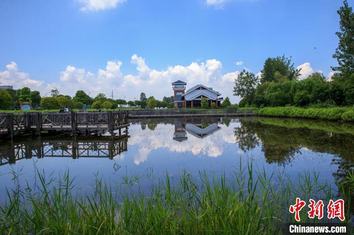 “國(guó)際濕地城市”武漢構(gòu)建全過(guò)程濕地保護(hù)體系