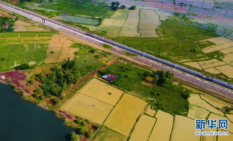 “瀾滄號(hào)”動(dòng)車組列車運(yùn)行在老撾境內(nèi)。新華網(wǎng)發(fā)（楊永全 攝）