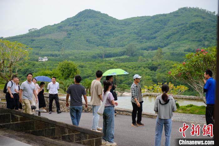 游客游覽嘉禾共享農(nóng)莊。