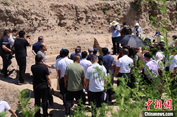 與會專家實地踏勘永濟渠故道唐宋武城遺址夯土墻?！↓R紅雨 攝