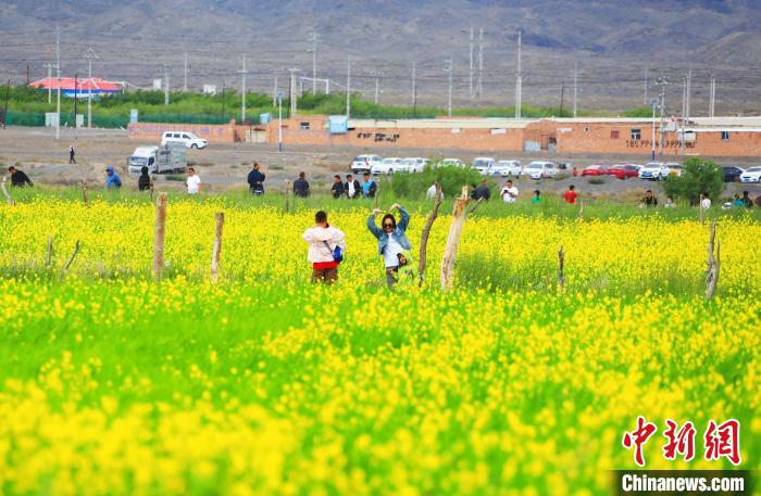 游客在油菜花海中拍照?！⊥锌诉d縣委宣傳部供圖