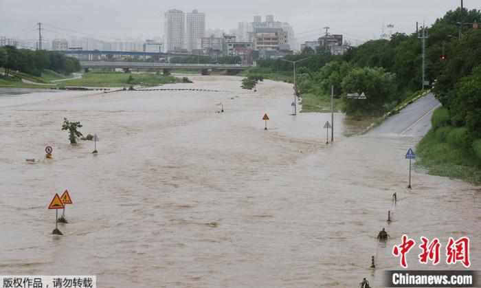 近期，韓國連日強降雨引發(fā)洪水等自然災害，圖為韓國清州一河流洪水泛濫。