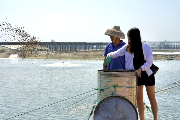 兩岸媒體人喂魚