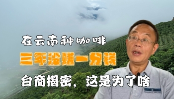 【滇西行】在云南種咖啡三年未賺一分錢？！臺(tái)商揭密個(gè)中原因