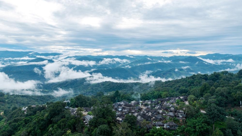 被山林與茶園環(huán)繞的景邁山翁基村一景（無(wú)人機(jī)照片，9月17日攝）