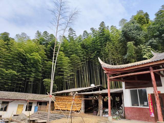 “金鐘玉鼓”鳴西蜀，彭州老君山文化傳承人王志強(qiáng)致力打造文旅目的地(圖4)