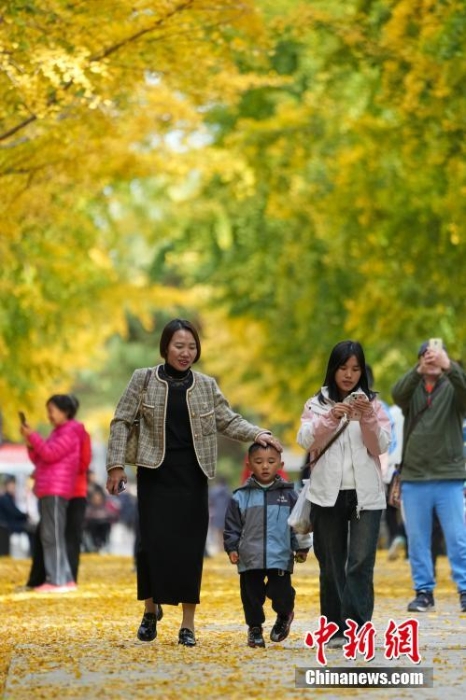 游客在北京圓明園賞滿園秋色