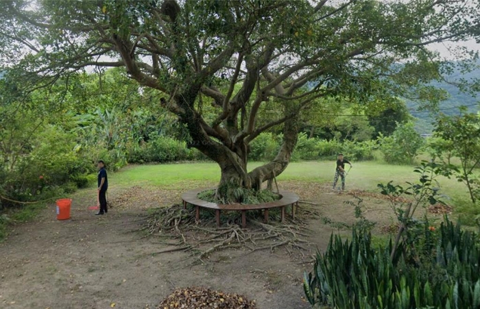 賴清德萬里違建老宅附近花園“賴皮花園”