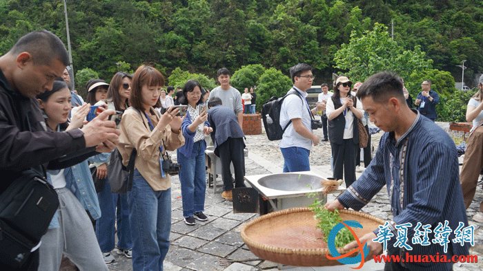 5：黃金茶非遺傳承人向華文在篩