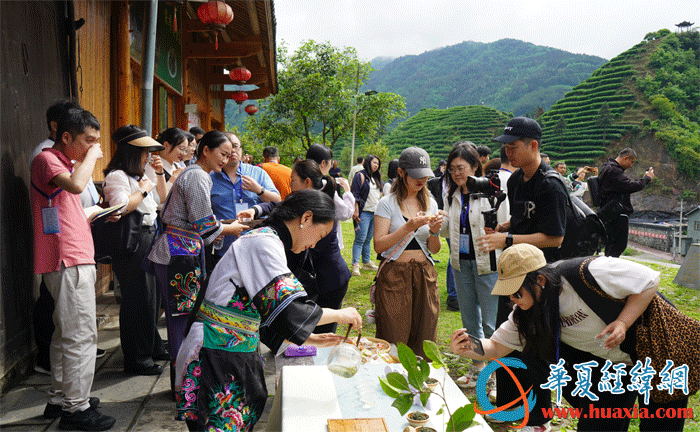 馬燕馬少梅姐妹向兩岸媒體人介紹黃金茶。（攝影：虞鷹）