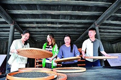 裊裊茶香飄兩岸——海峽兩岸媒體人走進湖南探尋茶鄉(xiāng)