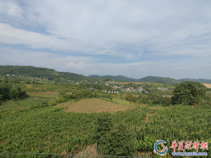 俯瞰池河鎮(zhèn)明星村“最美桑海”美景。